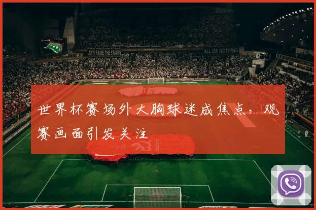 世界杯赛场外大胸球迷成焦点，观赛画面引发关注