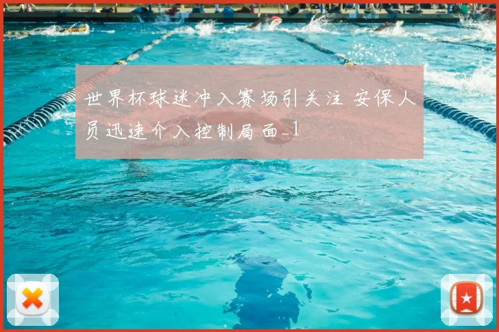 世界杯球迷冲入赛场引关注 安保人员迅速介入控制局面_1
