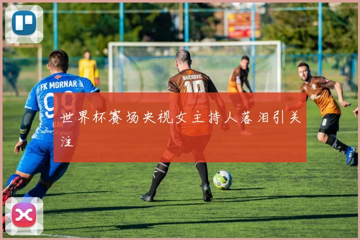 世界杯赛场央视女主持人落泪引关注