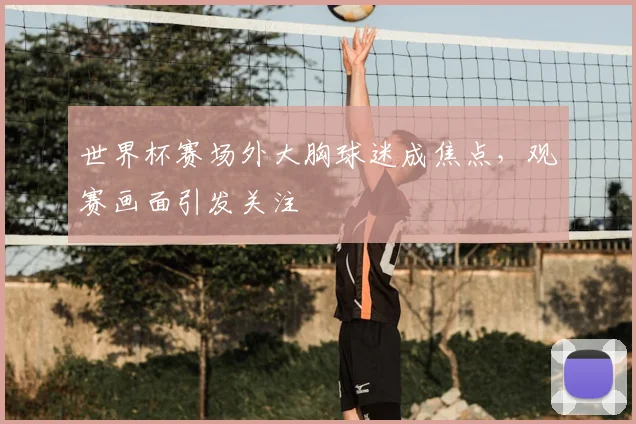 世界杯赛场外大胸球迷成焦点，观赛画面引发关注