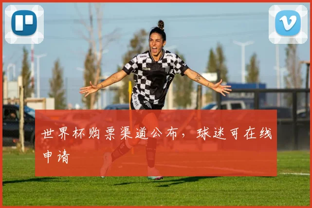 世界杯购票渠道公布,球迷可在线申请