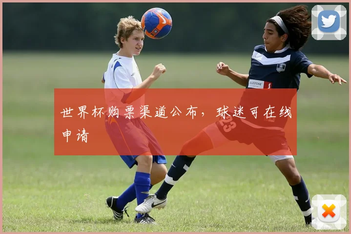 世界杯购票渠道公布,球迷可在线申请