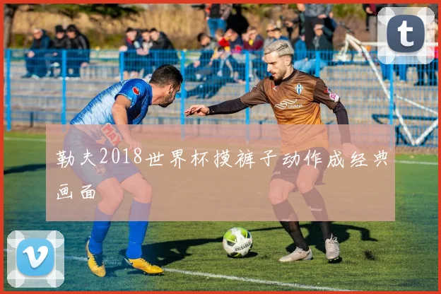 勒夫2018世界杯摸裤子动作成经典画面