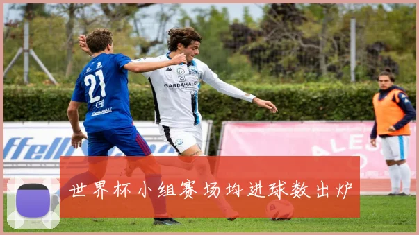 世界杯小组赛场均进球数出炉
